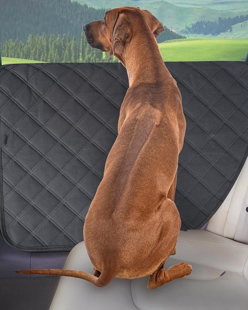 Dog standing against a car door covered by a PupDeck Door Shield
